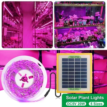 Солнечная панель LED Grow Light Full Spectrum 5V Grow Light Strip 2835 Светодиодных фито-ламп для выращивания растений в теплице на гидропонике